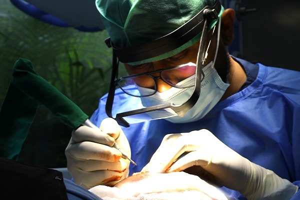 Follicle Implantation